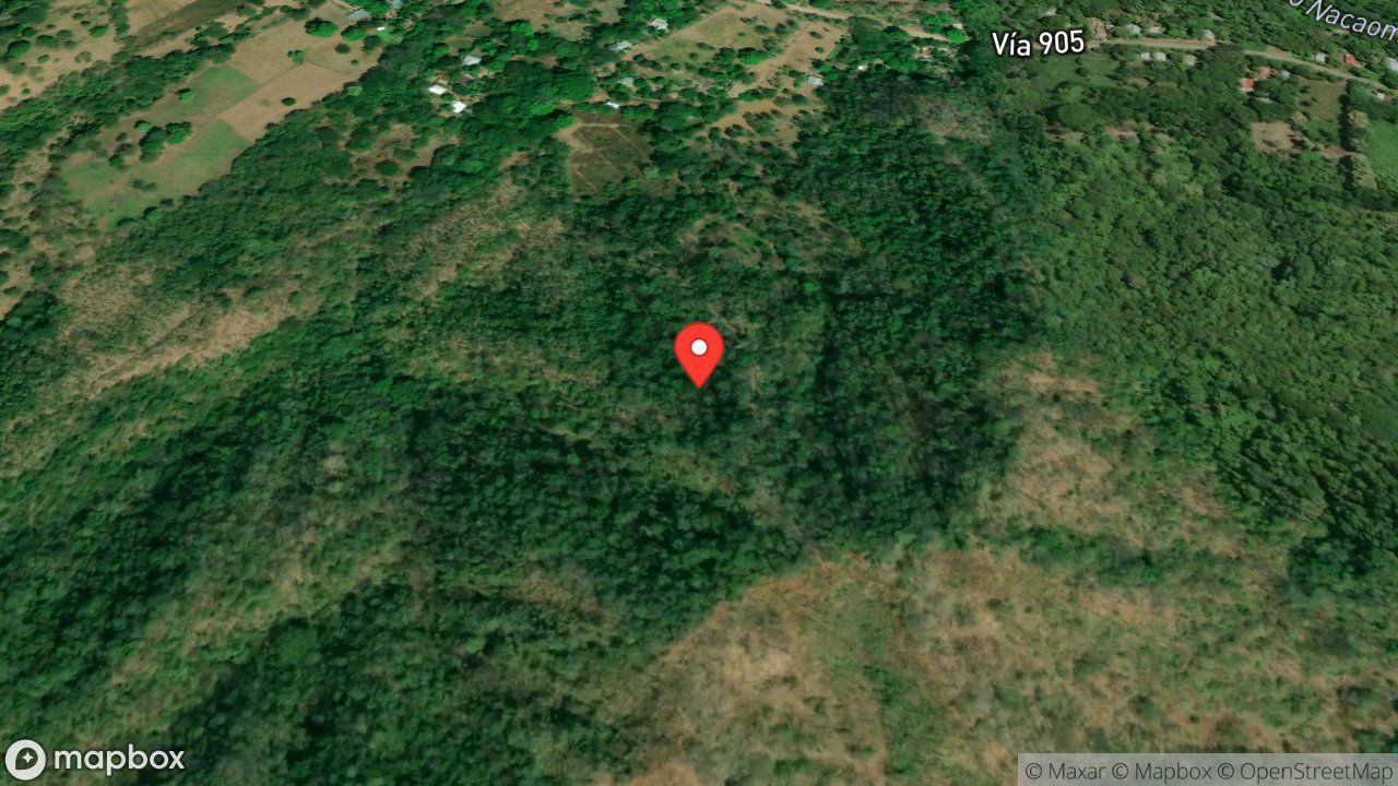 Mapa del incidente ARBOL CON FUEGO