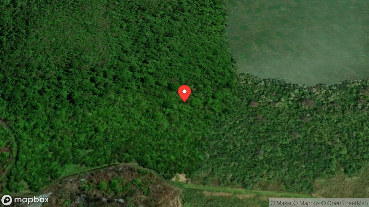 Mapa del incidente ESTACION DE BAGACES REPORTA REVISION EN INCENDIO FORESTAL