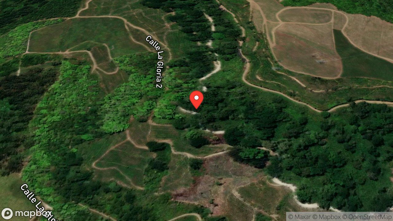 Mapa del incidente ESTACION DE JUAN VIÑAS REPORTA CAIDA DE ARBOL