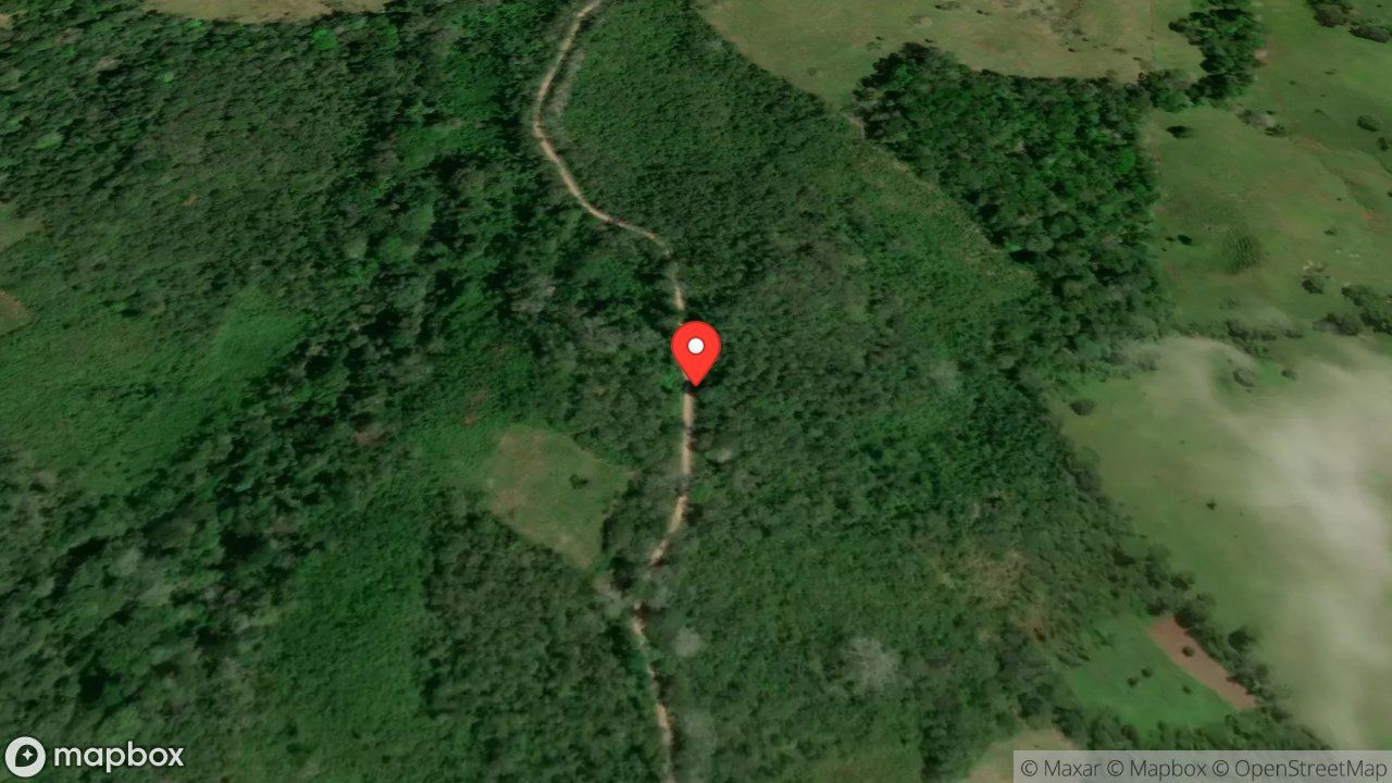Mapa del incidente CAIDA DE ARBOL SOBRE TENDIDO ELECTRICO