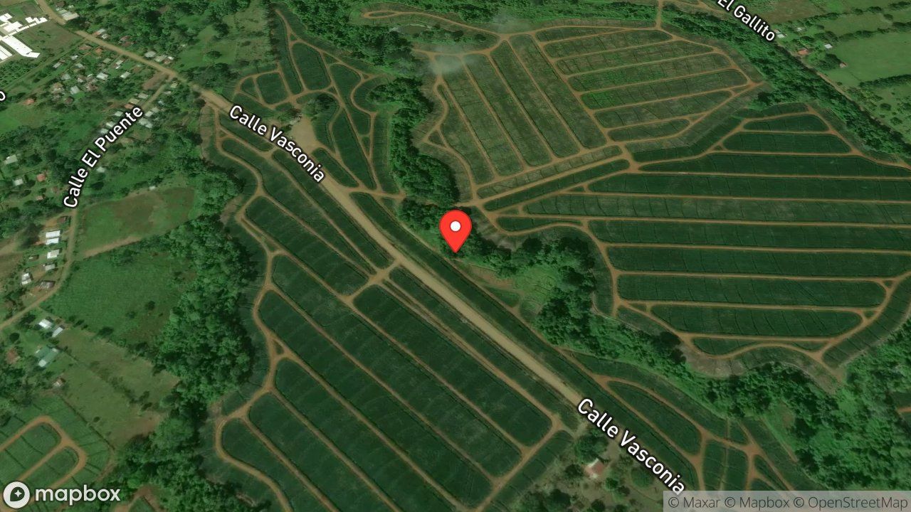 Mapa del incidente ATAQUE DE ABEJAS