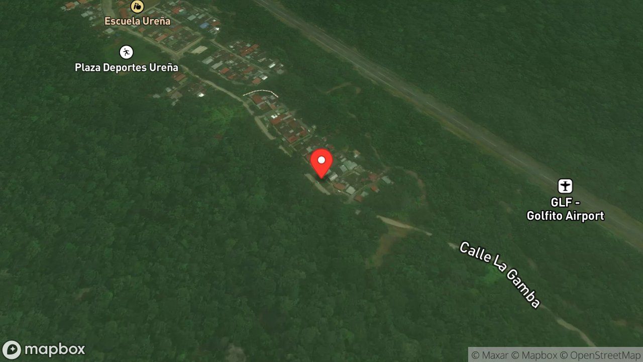 Mapa del incidente ESTACION DE GOLFITO REPORTA CAIDA DE ARBOL