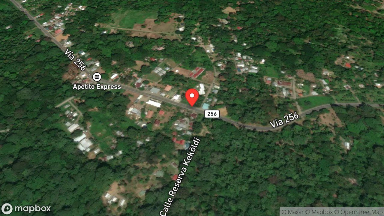 Mapa del incidente CAIDA DE ARBOL SOBRE TENDIDO ELECTRICO