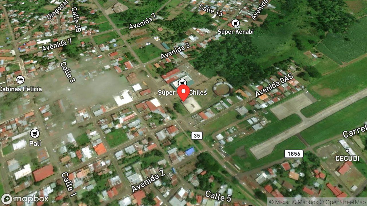 Mapa del incidente ESTACION DE LOS CHILES REPORTA ENJAMBRE DE ABEJAS