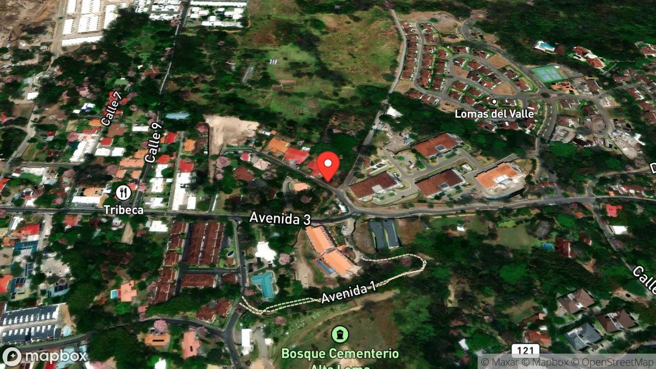 Mapa del incidente RESCATE DE UNA IGUANA ATRAPADA EN UNA MALLA