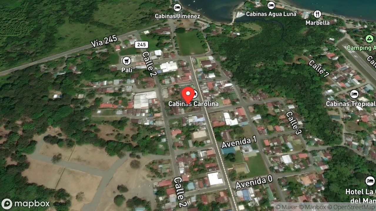 Mapa del incidente ESTACION DE PUERTO JIMENEZ REPORTA RESCATE ANIMAL