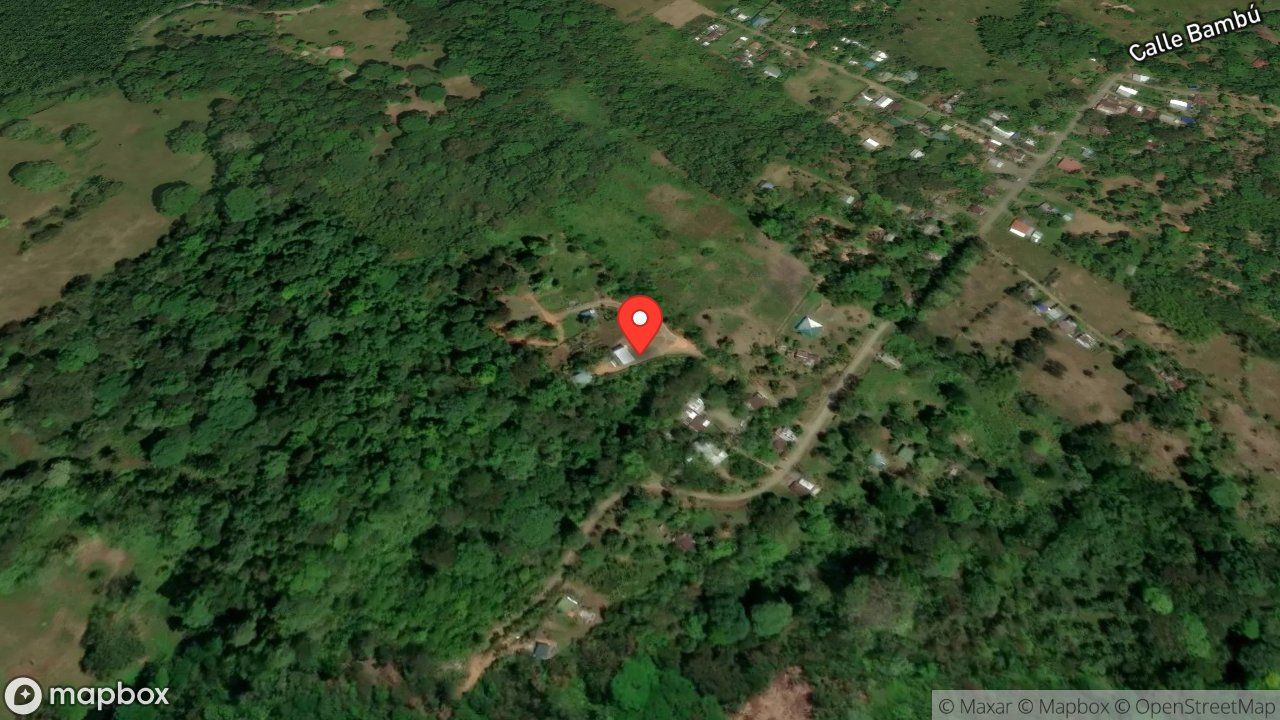 Mapa del incidente ESTACION DE PUERTO JIMENEZ REPORTA SERPIENTE