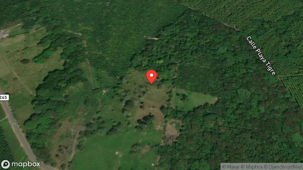 Mapa del incidente ESTACION DE PUERTO JIMENEZ REPORTA ENJAMBRE DE ABEJAS