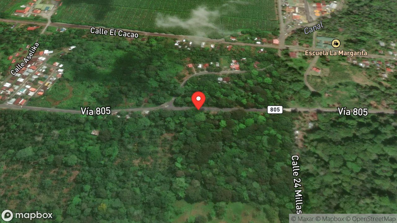 Mapa del incidente RESCATE DE PEREZOSO EN TENDIDO ELECTRICO
