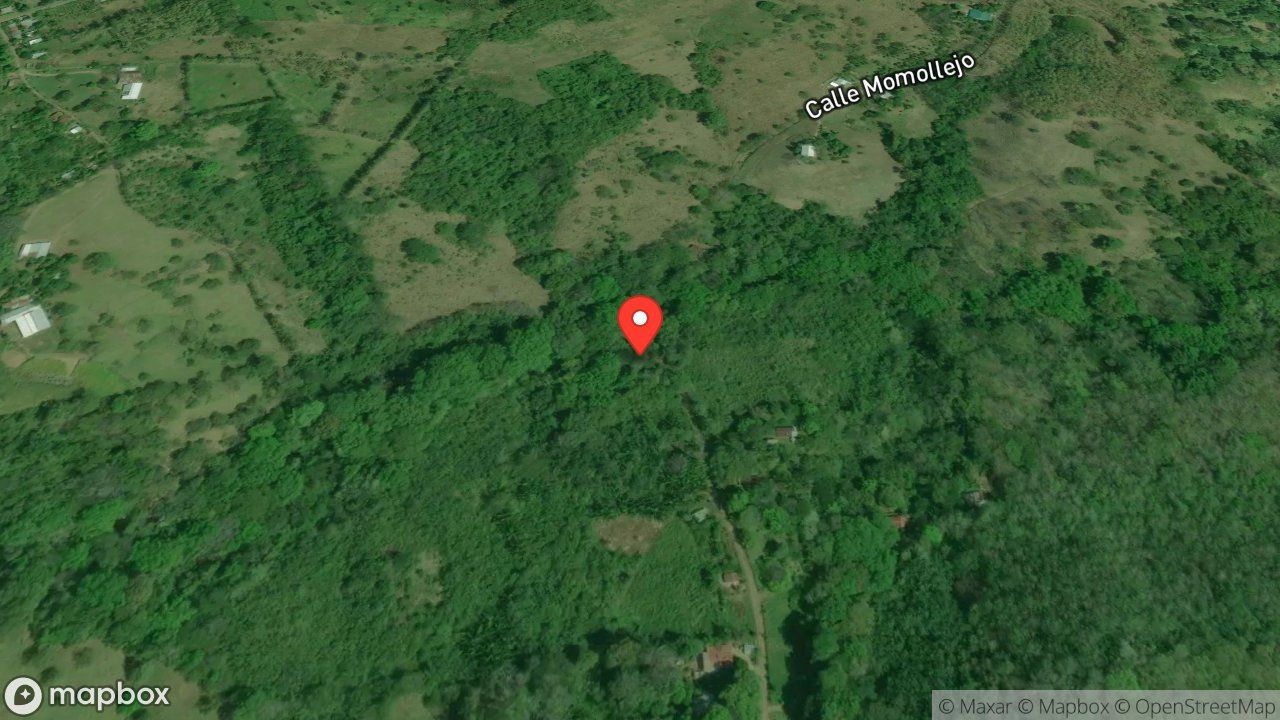 Mapa del incidente PALMERA CON FUEGO