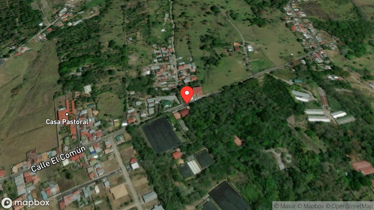 Mapa del incidente ESTACION DE PALMARES REPORTA RESCATE DE OSO PEREZOSO EN VIA PUBLICA