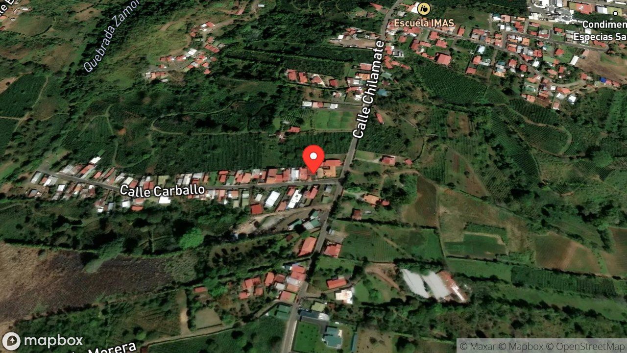 Mapa del incidente ESTACION DE POAS REPORTA RESCATE ANIMAL
