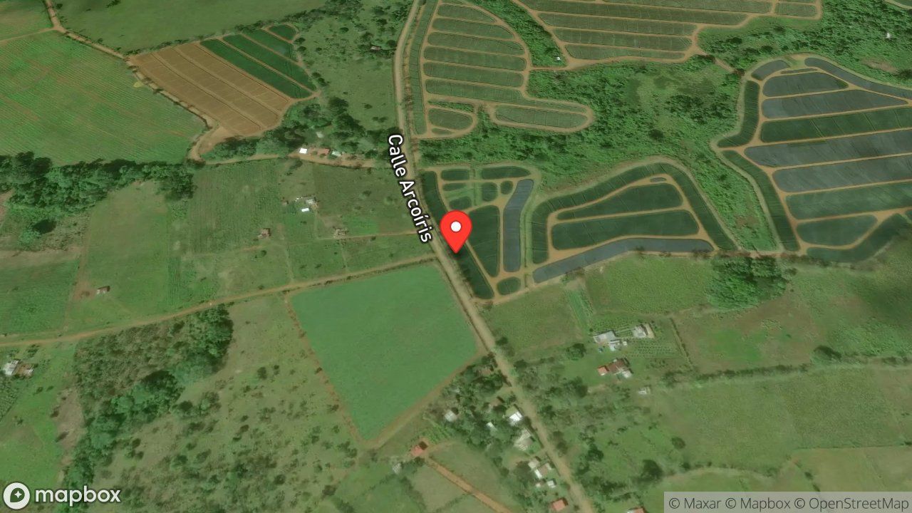 Mapa del incidente ENJAMBRE DE ABEJAS