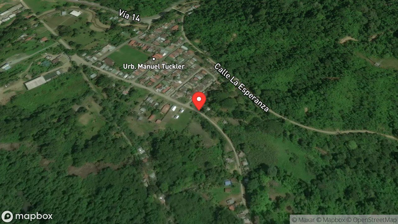 Mapa del incidente ESTACION DE GOLFITO REPORTA ARBOL CON FUEGO