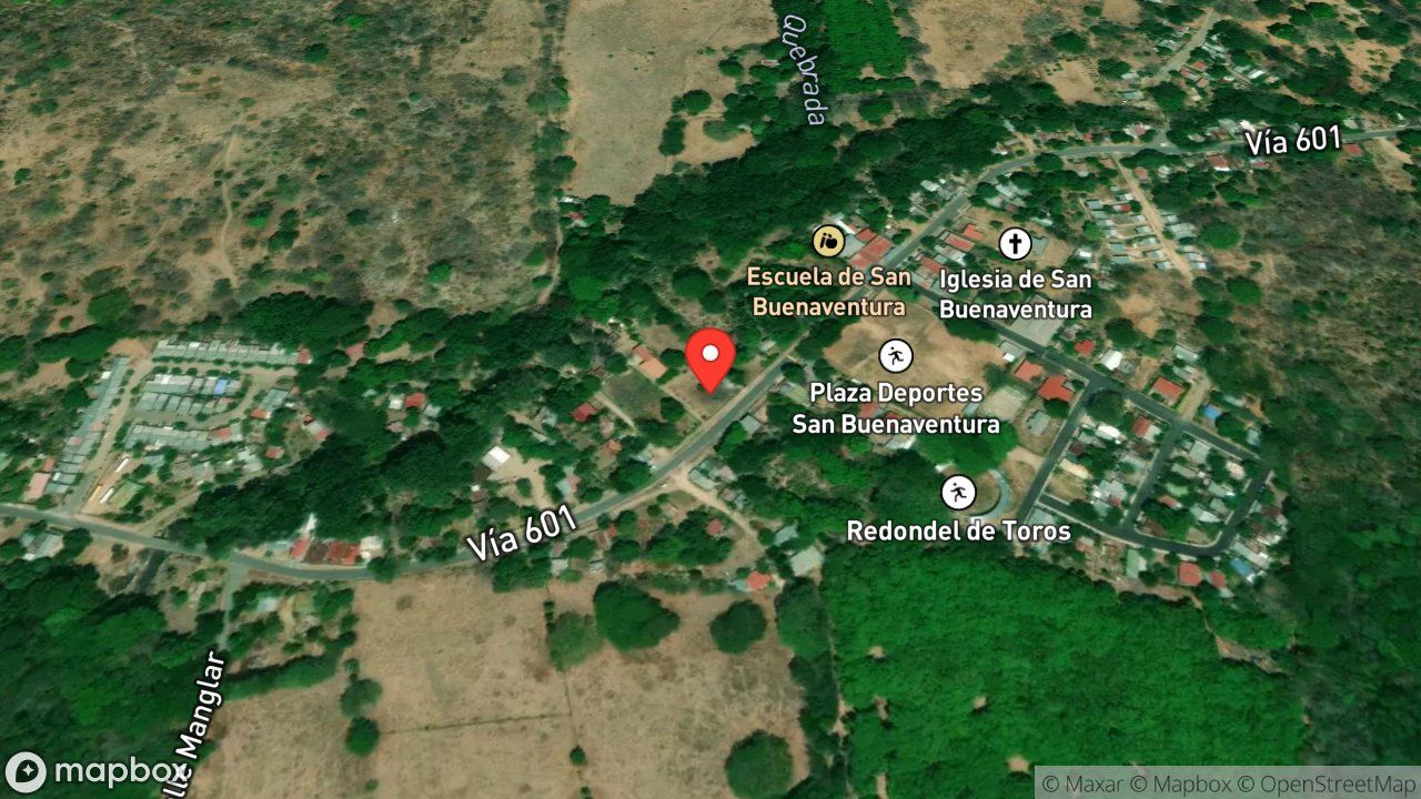 Mapa del incidente ENJAMBRE DE ABEJAS