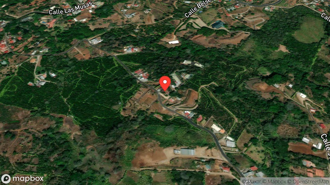 Mapa del incidente CAIDA DE ARBOL SOBRE TENDIDO ELECTRICO