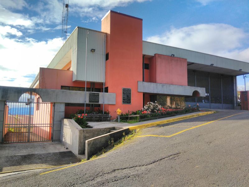 PACAYAS